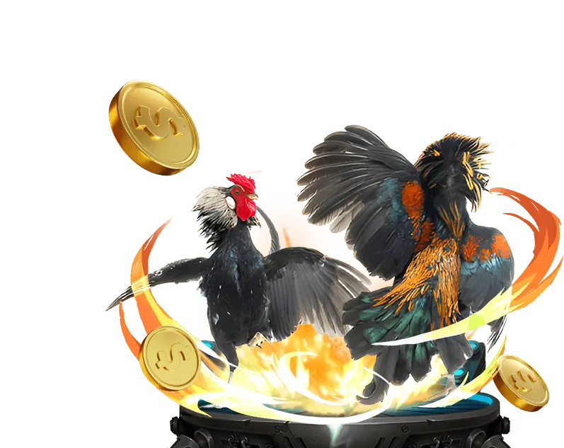 Đá gà và Xổ số truyền thống tại 188BET Hiphop